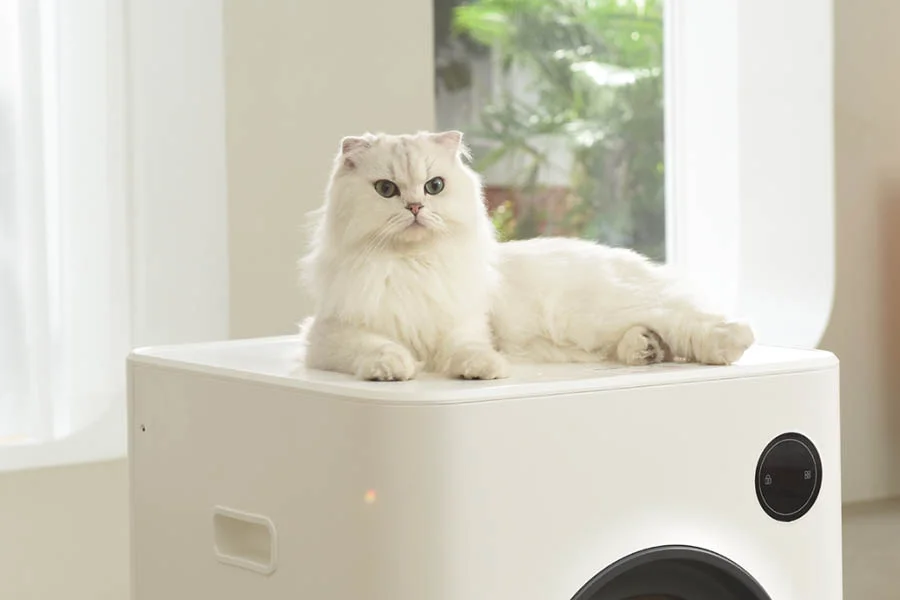 best automatic litterboxes